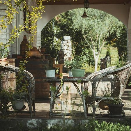 Guesthouse Lord Byron Tepelene Dış mekan fotoğraf